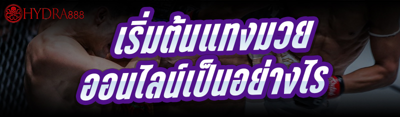 เริ่มต้นแทงมวยออนไลน์