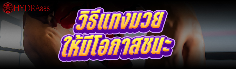 วิธีแทงมวย