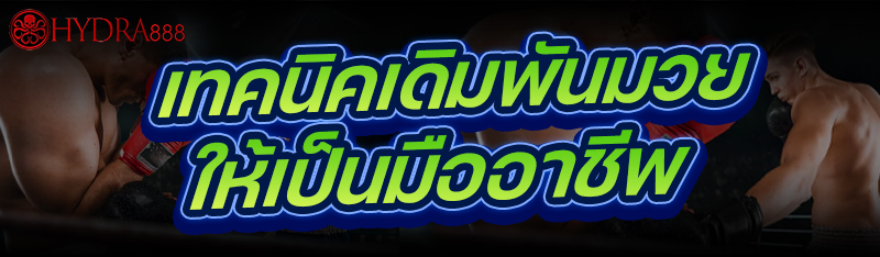 เทคนิคเดิมพันมวย