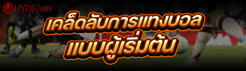 เคล็ดลับการแทงบอล