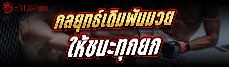 กลยุทธ์เดิมพันมวย