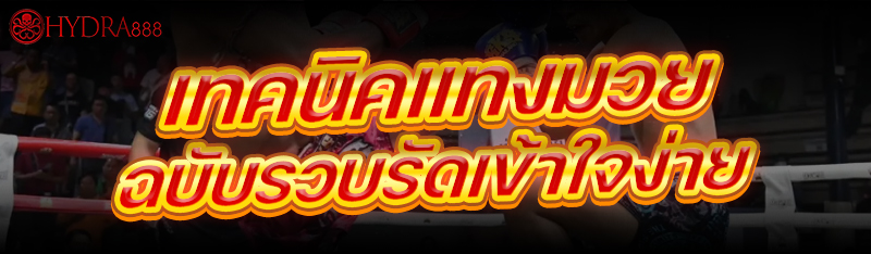 เทคนิคแทงมวย