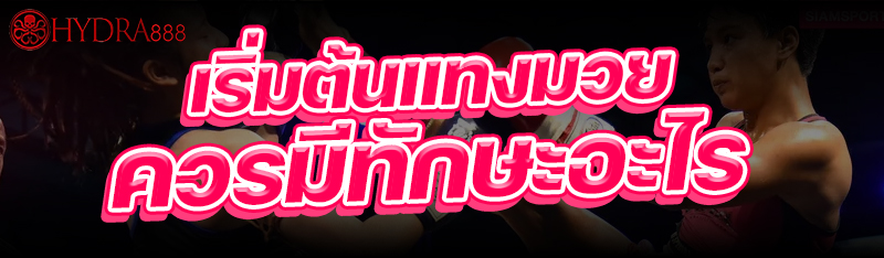 เริ่มต้นแทงมวย