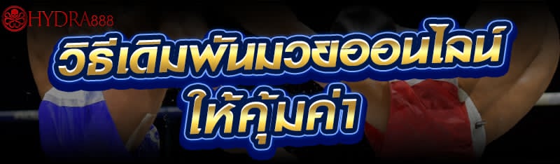 วิธีเดิมพันมวยออนไลน์