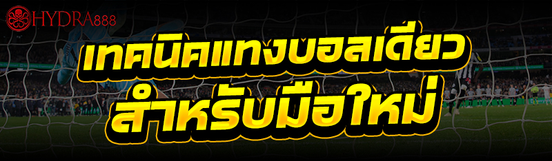 เทคนิคแทงบอลเดี่ยว