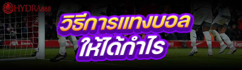 วิธีการแทงบอล